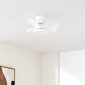 Quiet LED Light Ceiling Fan 22-Inch with Remote for Rooms 2